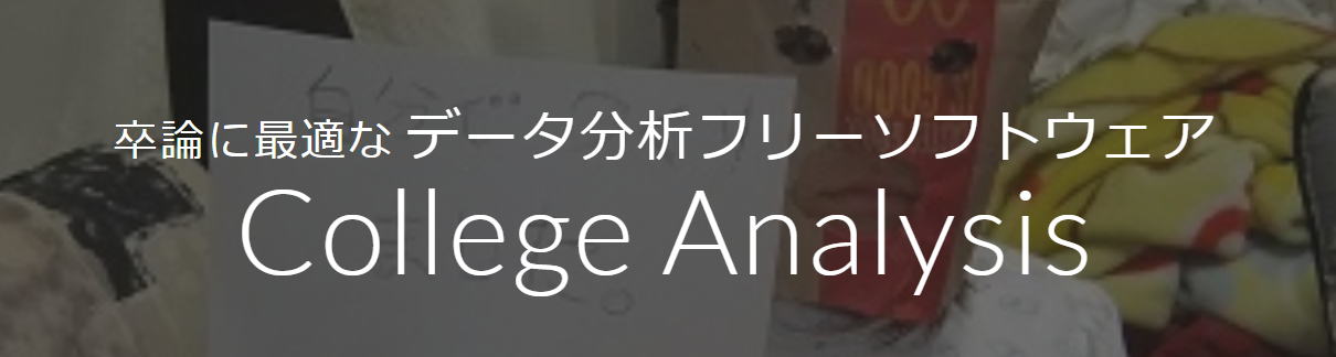 社会システム分析用ソフトウェアについて