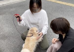 ペットと人間福祉学 で動物愛護センターの学習動画を視聴しました 学科ニュース 福山平成大学
