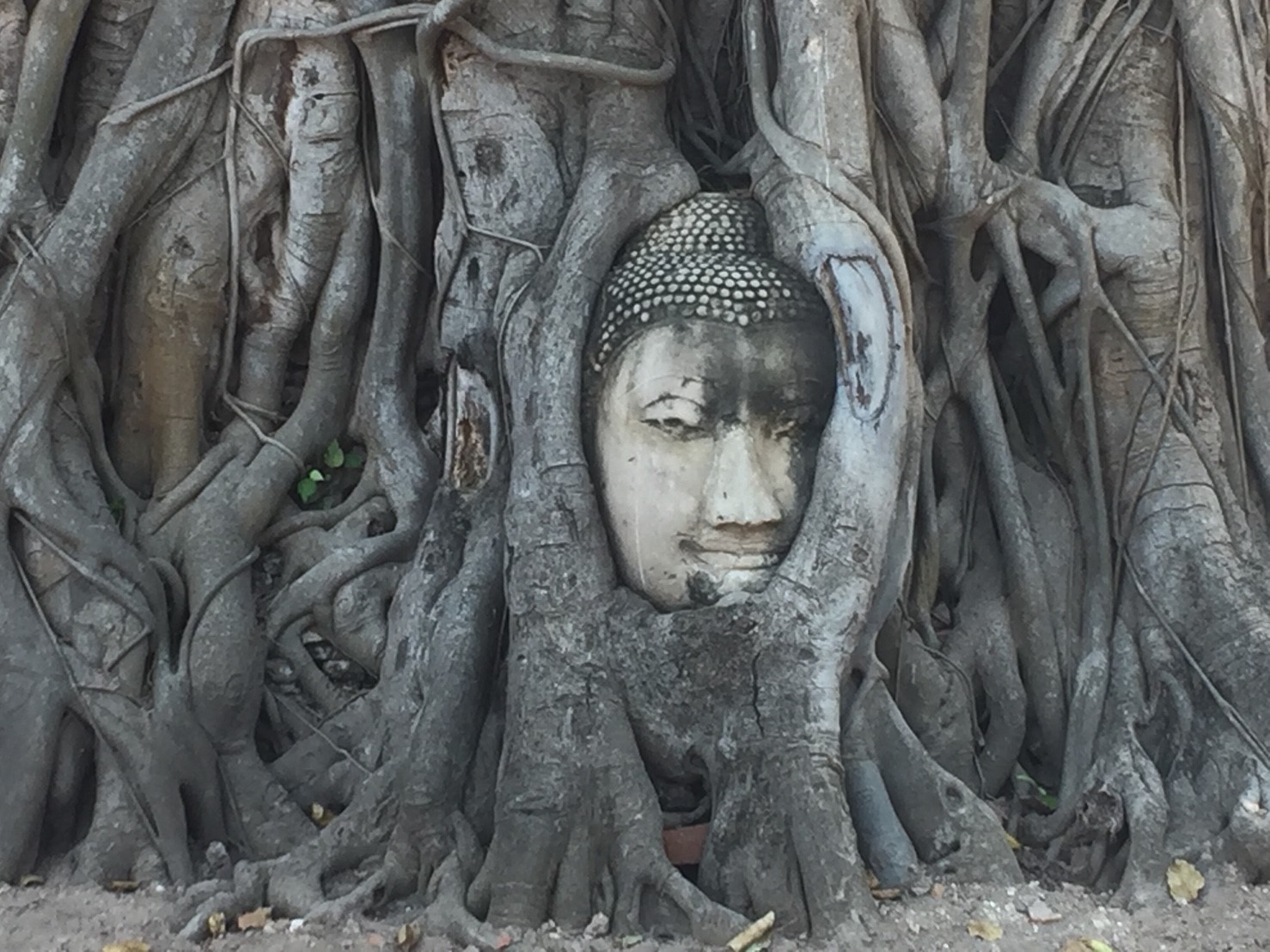 グローバル人材  タイ_171215_0029.jpg