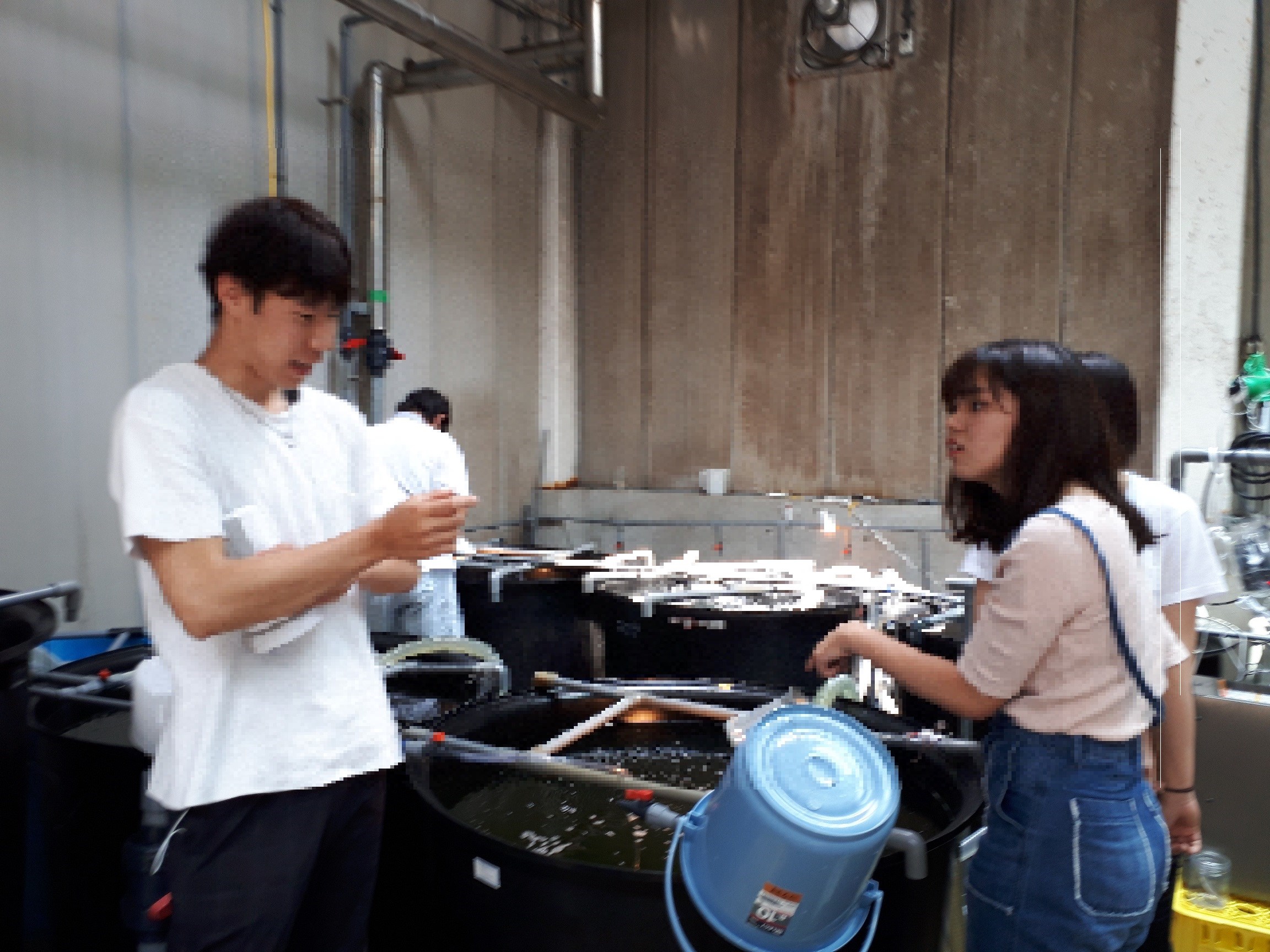 見学２ - コピー.jpg