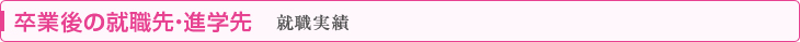 卒業後の就職先　就職実績